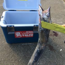 マイポイントで朝練